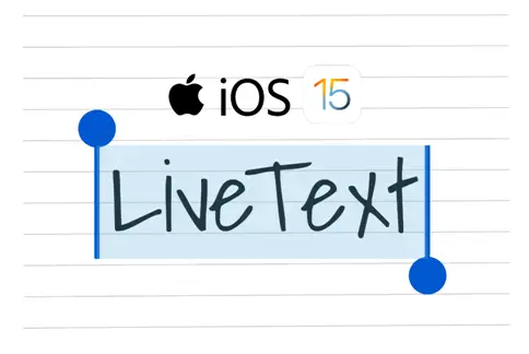 Use Live Text on iOS 15