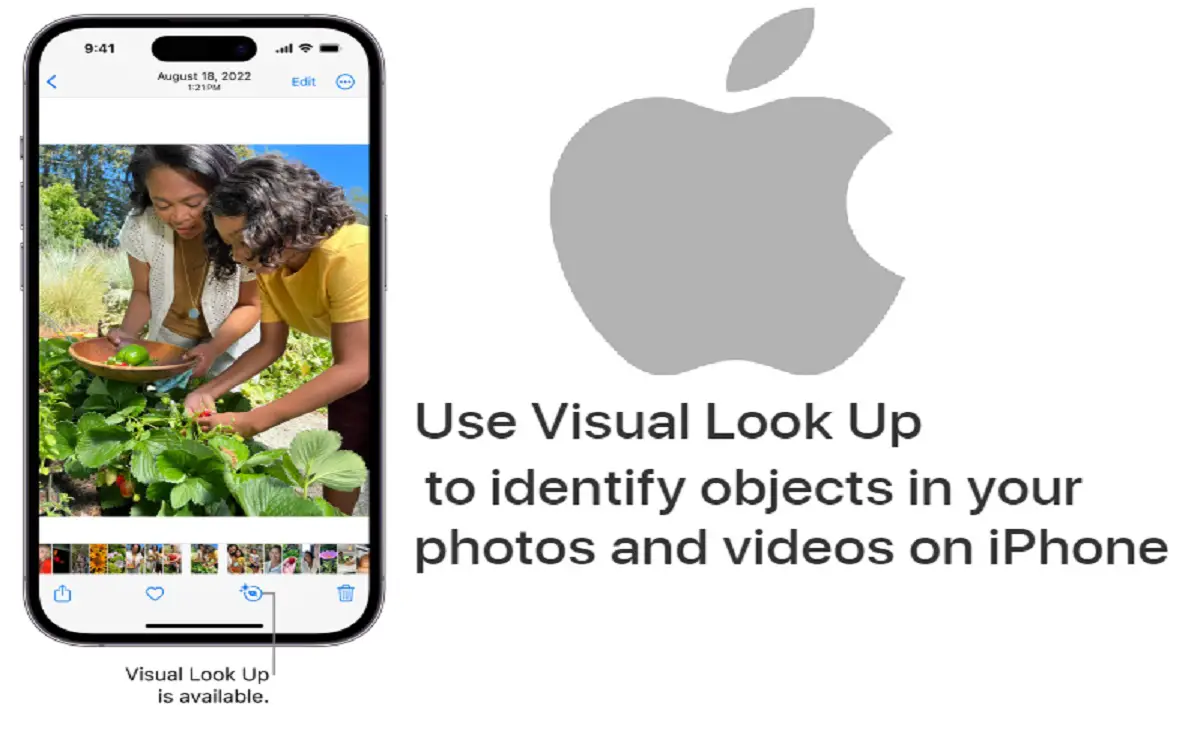 How To Use visual lookup ios 17