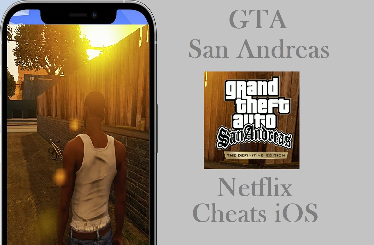 How To Use or Enter GTA san Andreas Netflix Cheats iOS