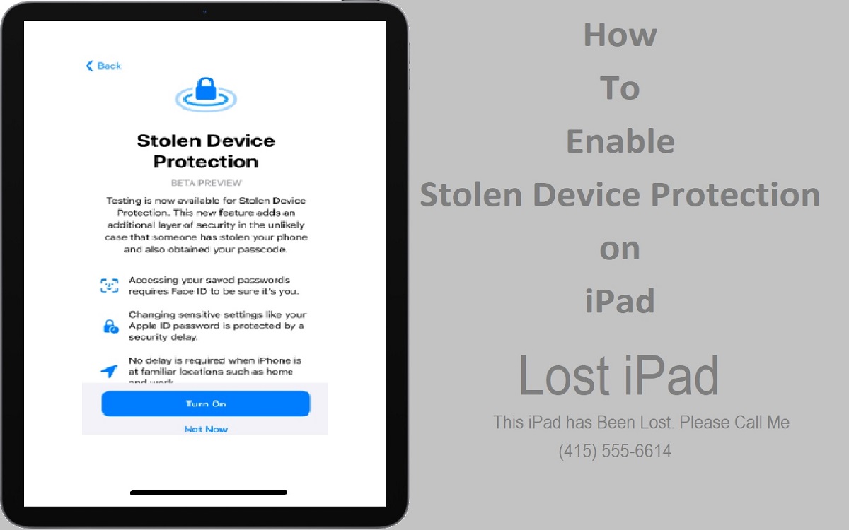 How to Enable Stolen Device Protection on iPad