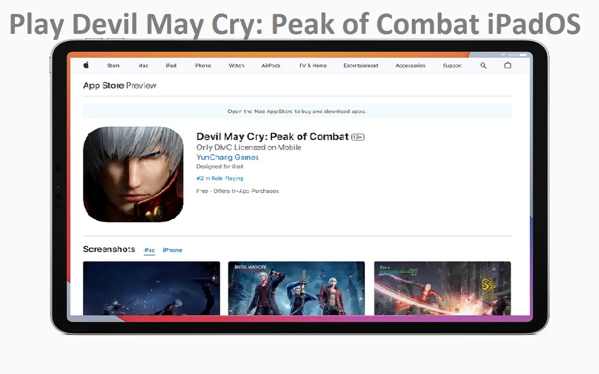 How to Play Devil May Cry Peak of Combat iPadOS