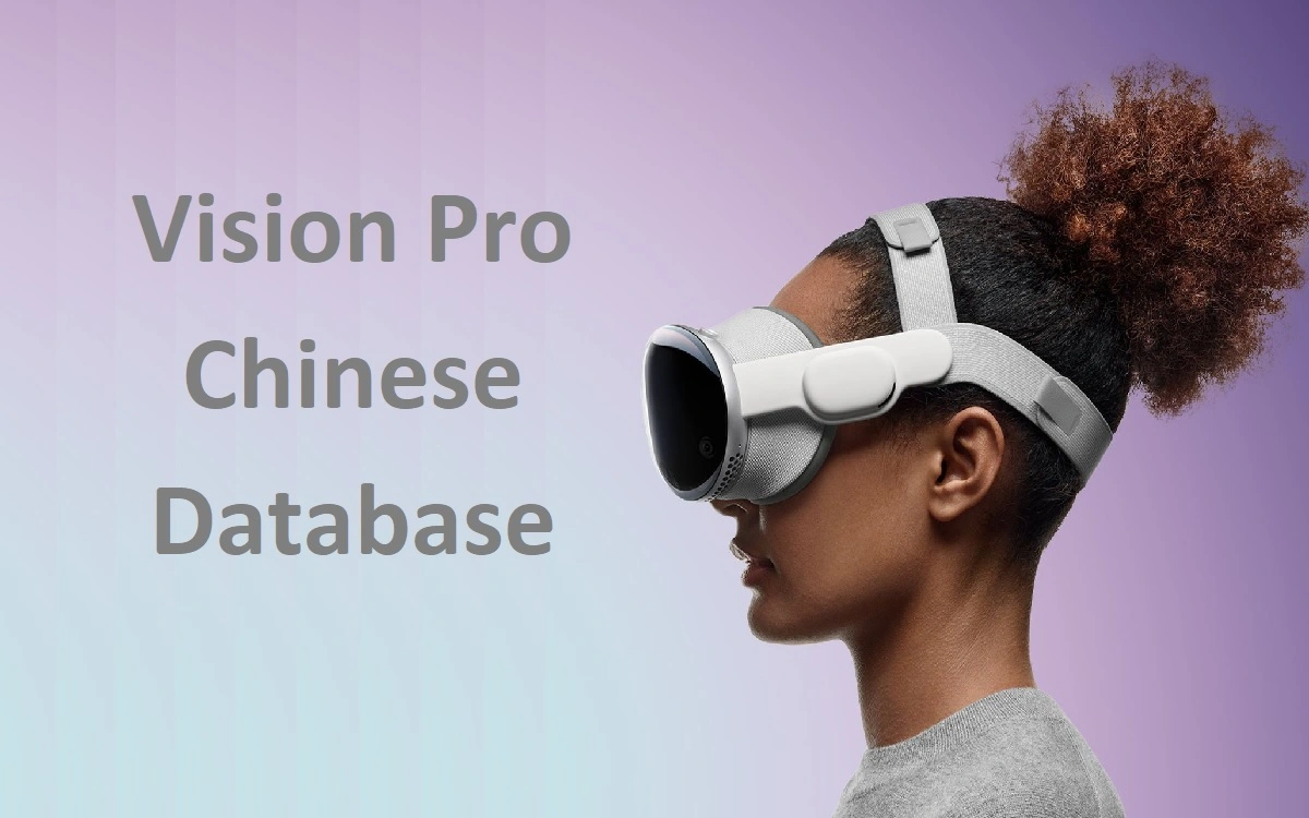 Vision Pro Chinese Database