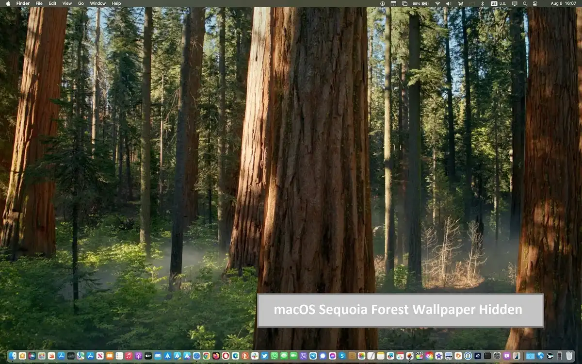 macOS Sequoia Forest Wallpaper Hidden